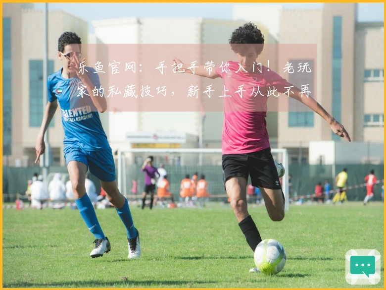 乐鱼官网：手把手带你入门！老玩家的私藏技巧，新手上手从此不再迷茫