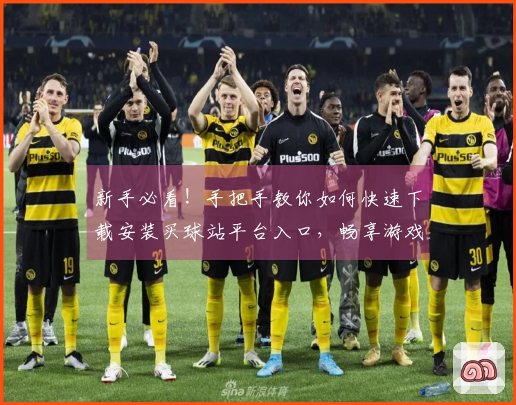 新手必看！手把手教你如何快速下载安装买球站平台入口，畅享游戏乐趣！
