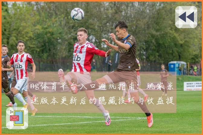 ng体育平台入口避坑指南：玩家亲述版本更新后的隐藏技巧与收益提升之路
