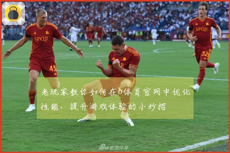 老玩家教你如何在b体育官网中优化性能，提升游戏体验的小妙招