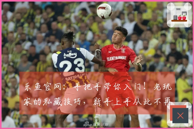 乐鱼官网：手把手带你入门！老玩家的私藏技巧，新手上手从此不再迷茫